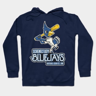 Defunct Schenectady Bluejays Baseball Team Hoodie